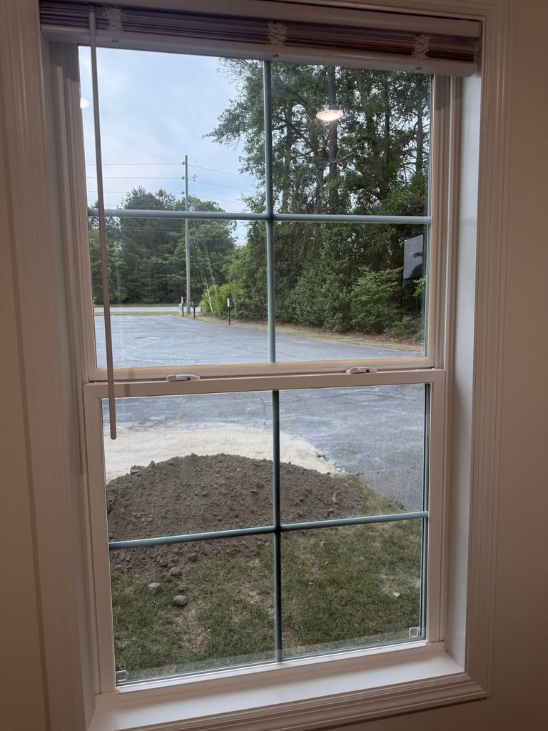Window view of flooded outdoor area with trees, grass, and standing water visible through six-pane window